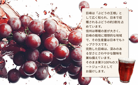 信州産 ぶどうジュース「紫宝の恵」 ストレート果汁100％ (1L×4本)|ぶどうジュース