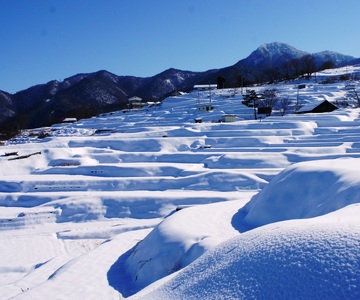 【令和7年産】コシヒカリ 棚田姫  5kg | コシヒカリ