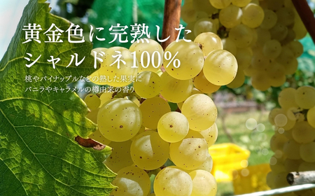 白ワイン [モンターニュ シャルドネ] 750ml×2本 |白ワイン