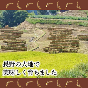 長野県産 こしひかり 精米 (米袋10kg)