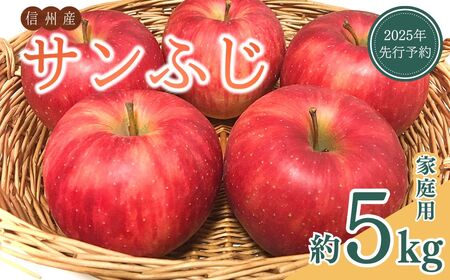 【2025年先行予約】訳あり りんご サンふじ 家庭用 約5kg｜ りんご りんご りんご りんご りんご