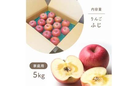 【2025年先行予約】訳あり りんご サンふじ 家庭用 約5kg｜ りんご りんご りんご りんご りんご