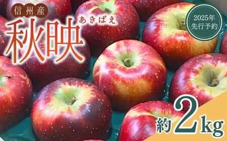 【2025年先行予約】りんご 秋映(長野県オリジナル品種) 太陽の恵みたっぷり 約2kg｜ りんご りんご りんご りんご りんご