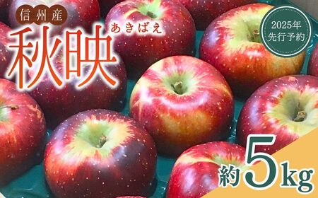 【2025年先行予約】りんご 秋映(長野県オリジナル品種) 太陽の恵みたっぷり 約5kg｜ りんご りんご りんご りんご りんご