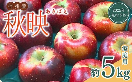 【2025年先行予約】訳あり りんご 秋映(長野県オリジナル品種) 家庭用 約5kg｜ りんご りんご りんご りんご りんご
