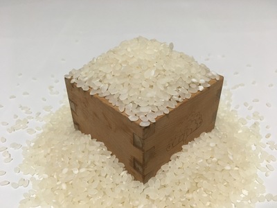16.★数量限定★【愛媛県産の棚田米ひのひかり 】5Kg×2袋 定期便】ひのひかり 5kg (ヒノヒカリ) 宮崎県高千穂産 棚田米 お
