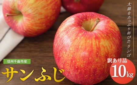 【2026年先行予約】りんご サンふじ 家庭用 訳あり 約10kg ＜中島農園＞|りんご