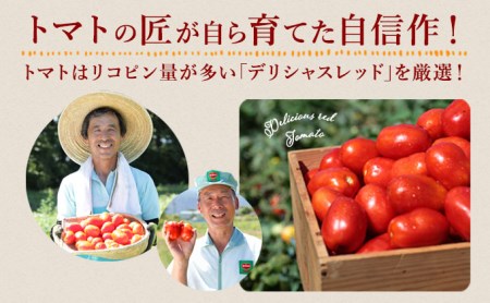 【定期便6ヶ月】 デルモンテ 国産 野菜の極 160g×30本(野菜ジュース)