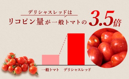 【定期便6ヶ月】 デルモンテ 国産 野菜の極 160g×30本(野菜ジュース)