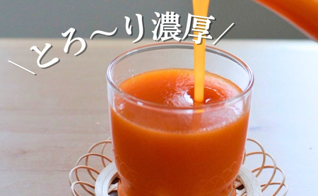 信州 千曲のあんずネクター ジュース (720ml 3本セット)|あんずジュース あんずジュース