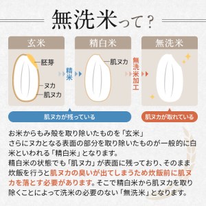 信州人気米 2銘柄 食べ比べ ( 無洗米 ) 10kg 長野県産 [ こしひかり・あきたこまち ] 各5kg | 米 こめ 銘柄 単一米 各5kg コシヒカリ アキタコマチ 信州 食べ比べ 長野