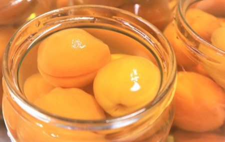 特選あんずギフト4点セット 横島物産 | 自社農園で栽培している杏を使用したこだわりのあんず（杏果汁・杏シロップ漬・杏ジャム）セット