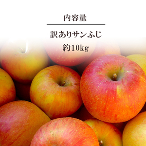 千曲市産 サンふじ りんご 訳あり 約10kg | 果物 フルーツ りんご リンゴ 林檎 サンふじ サンフジ さんふじ 訳あり わけあり 10kg 特産品 千曲市 長野県 信州