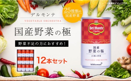 デルモンテ ベジタブル 野菜の極 ギフト（12本セット）国産 野菜ジュース