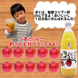 【果汁100％】信州 サンふじ りんごジュース 6本セット｜ りんご