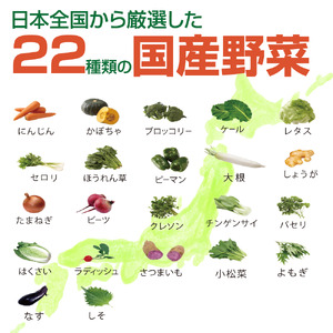 国産緑黄色野菜ジュース 30缶セット｜ 野菜ジュース 野菜ジュース 野菜ジュース 野菜ジュース 野菜ジュース