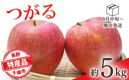 【2026年先行予約】りんご つがる 約5kg |りんご