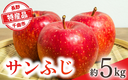 りんご サンふじ 約5kg|サンふじ