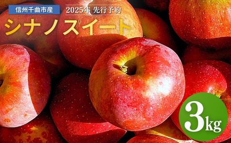 【2025年先行予約】りんご シナノスイート 6~11玉 約3kg ｜ りんご りんご りんご りんご りんご りんご