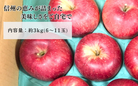 【2026年先行予約】りんご シナノスイート 6~11玉 約3kg|シナノスイート