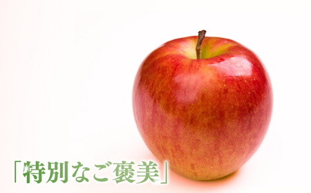 【2026年先行予約】りんご シナノスイート 6~11玉 約3kg|シナノスイート