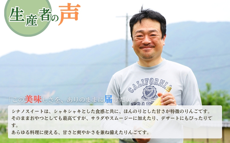 【2026年先行予約】りんご シナノスイート 6~11玉 約3kg|シナノスイート