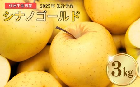 【2025年先行予約】りんご シナノゴールド 6〜10玉 約3kg ｜ りんご りんご りんご りんご りんご りんご
