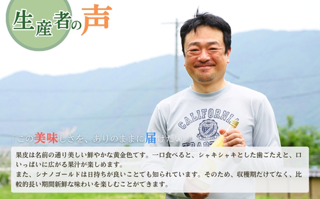 【2026年先行予約】りんご シナノゴールド 6~10玉 約3kg|シナノゴールドド