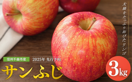 【2025年先行予約】りんご サンふじ 約3kg ｜ りんご りんご りんご りんご りんご りんご