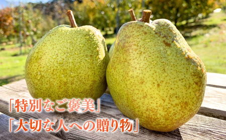 洋梨 ふるさと納税 大石田町 ラ・フランス 洋梨 約5kg 2025年産 令和7年産 果物