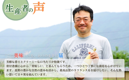 【2026年先行予約】洋梨 ラ・フランス 約3kg|ラフランス