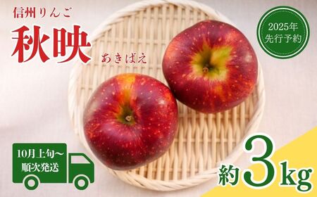 【2025年先行予約】りんご 秋映(長野県オリジナル品種) 約3kg｜ りんご りんご りんご りんご りんご