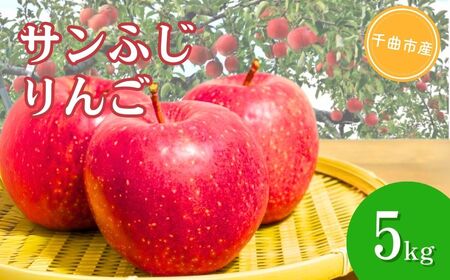 【2025年先行予約】りんご サンふじ 約5kg｜ りんご りんご りんご りんご りんご