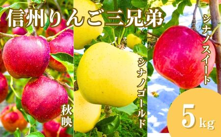 【2026年先行予約】りんご３種詰め合わせ りんご三兄弟（秋映・シナノスイート・シナノゴールド）計約5kg |りんご