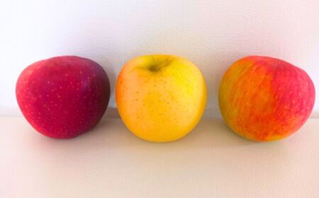 【2026年先行予約】りんご３種詰め合わせ りんご三兄弟（秋映・シナノスイート・シナノゴールド）計約5kg |りんご