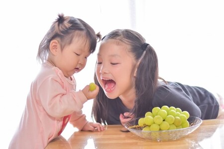 【2025年先行予約】訳あり シャインマスカット 家庭用 約2kg(3~5房)｜ シャインマスカット シャインマスカット シャインマスカット シャインマスカット シャインマスカット