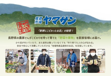 【2025年先行予約】訳あり シャインマスカット 家庭用 約2kg(3~5房)｜ シャインマスカット シャインマスカット シャインマスカット シャインマスカット シャインマスカット