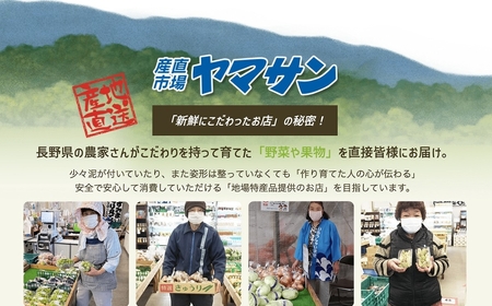 【2026年先行予約】シャインマスカット 約2kg（4~6房）※最低1.8kg以上|シャインマスカット2kg