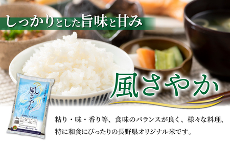 【６回定期便】東御市産のおいしいお米「風さやか」約10kg 白米10キロ国産新米白米10kg新米白米新米白米新米白米新米