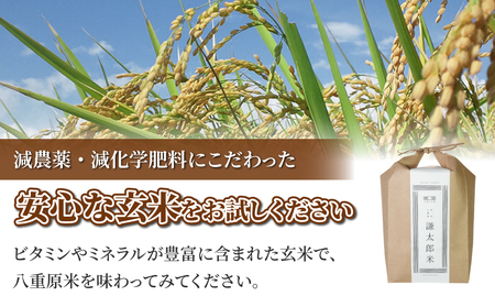 （先行予約）【太陽と大地】八重原産特別栽培米（減農薬・減化学肥料栽培）コシヒカリ玄米５kg　玄米玄米玄米玄米玄米