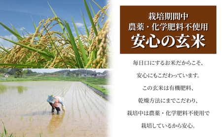 【太陽と大地】八重原産コシヒカリ玄米「極」（栽培期間中農薬化学肥料不使用）1kg