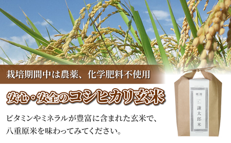 【太陽と大地】令和7年産「八重原産コシヒカリ玄米「極」(栽培期間中農薬化学肥料不使用)4kg」