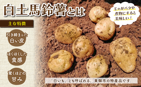 東御市産白土馬鈴薯約５kg【8〜12月お届け】