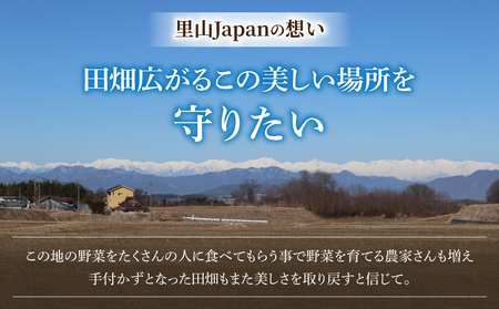 【先行受付2026年発送】長野県東御市産生きた土壌で育った『季節の野菜セット』（7～8品目）｜里山JAPAN　※2026年7月から発送開始