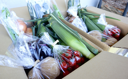 【先行受付2026年発送】長野県東御市産生きた土壌で育った『季節の野菜セット』（7～8品目）｜里山JAPAN　※2026年7月から発送開始