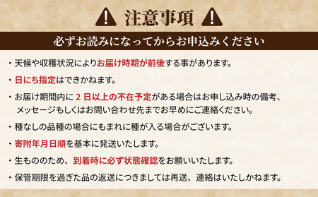 先行受付2025年発送【おぎはら園】農家直送！朝採れクイーンルージュ®３房（約１.２kg）※2025年9月下旬～10月中旬順次発送