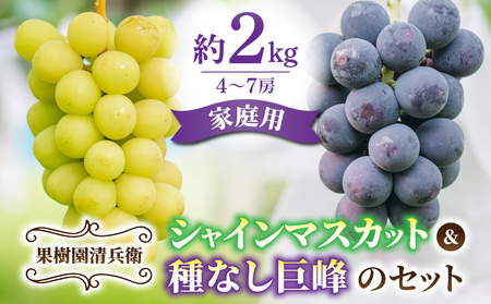 【先行受付2026年発送】ご家庭用シャインマスカットと種無し巨峰の詰め合わせ　約2kg（4～7房）｜果樹園清兵衛　※2026年9月中旬以降順次発送