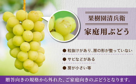 【先行受付2026年発送】ご家庭用シャインマスカットと種無し巨峰の詰め合わせ　約2kg（4～7房）｜果樹園清兵衛　※2026年9月中旬以降順次発送