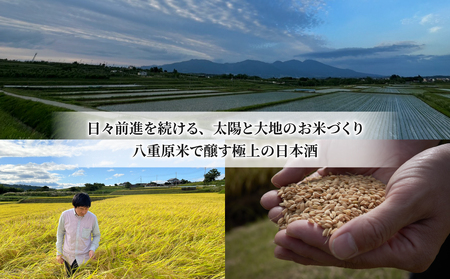 【2023年 IWC チャンピオンサケ受賞蔵】八重原産金紋錦でできた日本酒！湯川酒造店 十六代九郎右衛門 生もと 純米