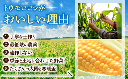 【先行受付2026年発送】生でもすごく甘い！生きた土壌で育った『とうもろこし』2Lサイズ8本｜里山JAPAN ※2026年7月中旬以降発送予定